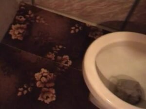 Free Scat Porn