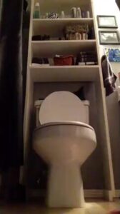 Free Scat Porn