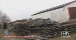 Free Scat Porn