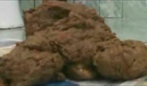 Free Scat Porn
