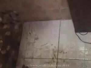 Free Scat Porn