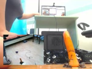 Free Scat Porn