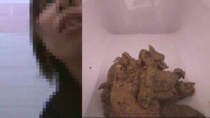 Free Scat Porn