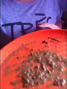 Free Scat Porn