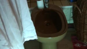 Free Scat Porn