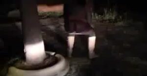 Free Scat Porn
