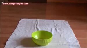 Free Scat Porn