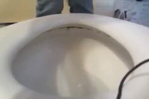 Free Scat Porn