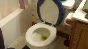 Free Scat Porn