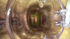 Free Scat Porn