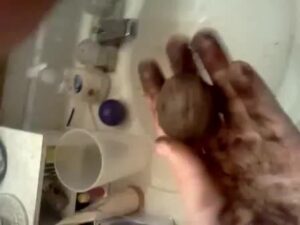 Free Scat Porn