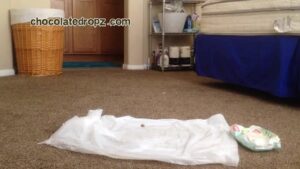 Free Scat Porn