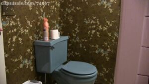 Free Scat Porn