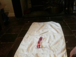 Free Scat Porn