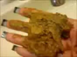 Free Scat Porn