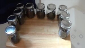 Free Scat Porn