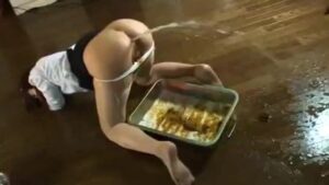 Free Scat Porn