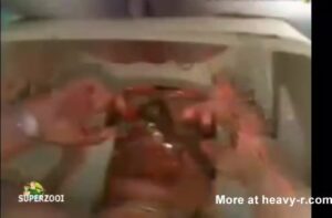 Free Scat Porn