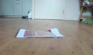 Free Scat Porn