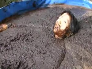 Free Scat Porn