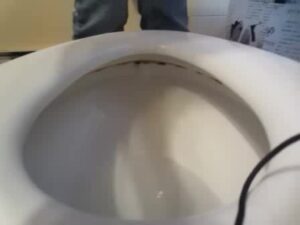 Free Scat Porn