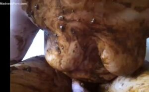 Free Scat Porn