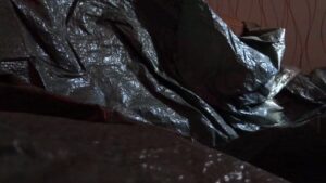 Free Scat Porn