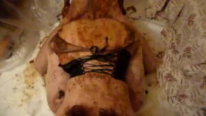 Free Scat Porn