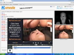 Free Scat Porn
