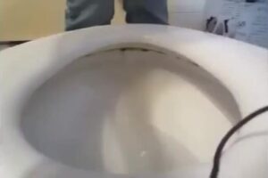 Free Scat Porn