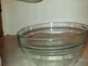 Free Scat Porn