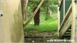 Free Scat Porn