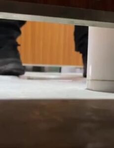 Free Scat Porn