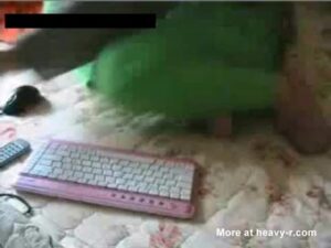 Free Scat Porn