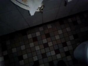Free Scat Porn