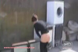 Free Scat Porn