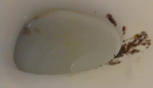 Free Scat Porn