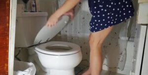 Free Scat Porn