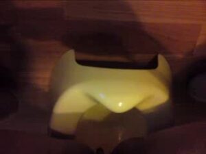 Free Scat Porn