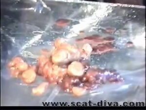 Free Scat Porn