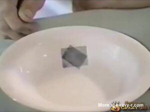 Free Scat Porn
