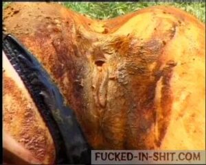 Free Scat Porn