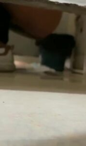 Free Scat Porn