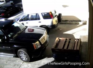 Free Scat Porn
