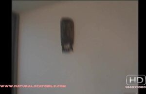 Free Scat Porn