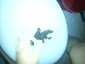 Free Scat Porn