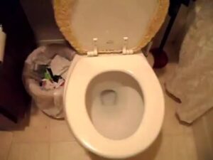 Free Scat Porn