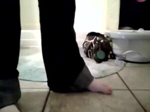 Free Scat Porn