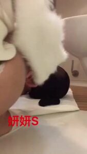 Free Scat Porn