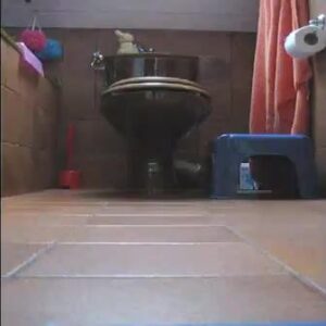Free Scat Porn